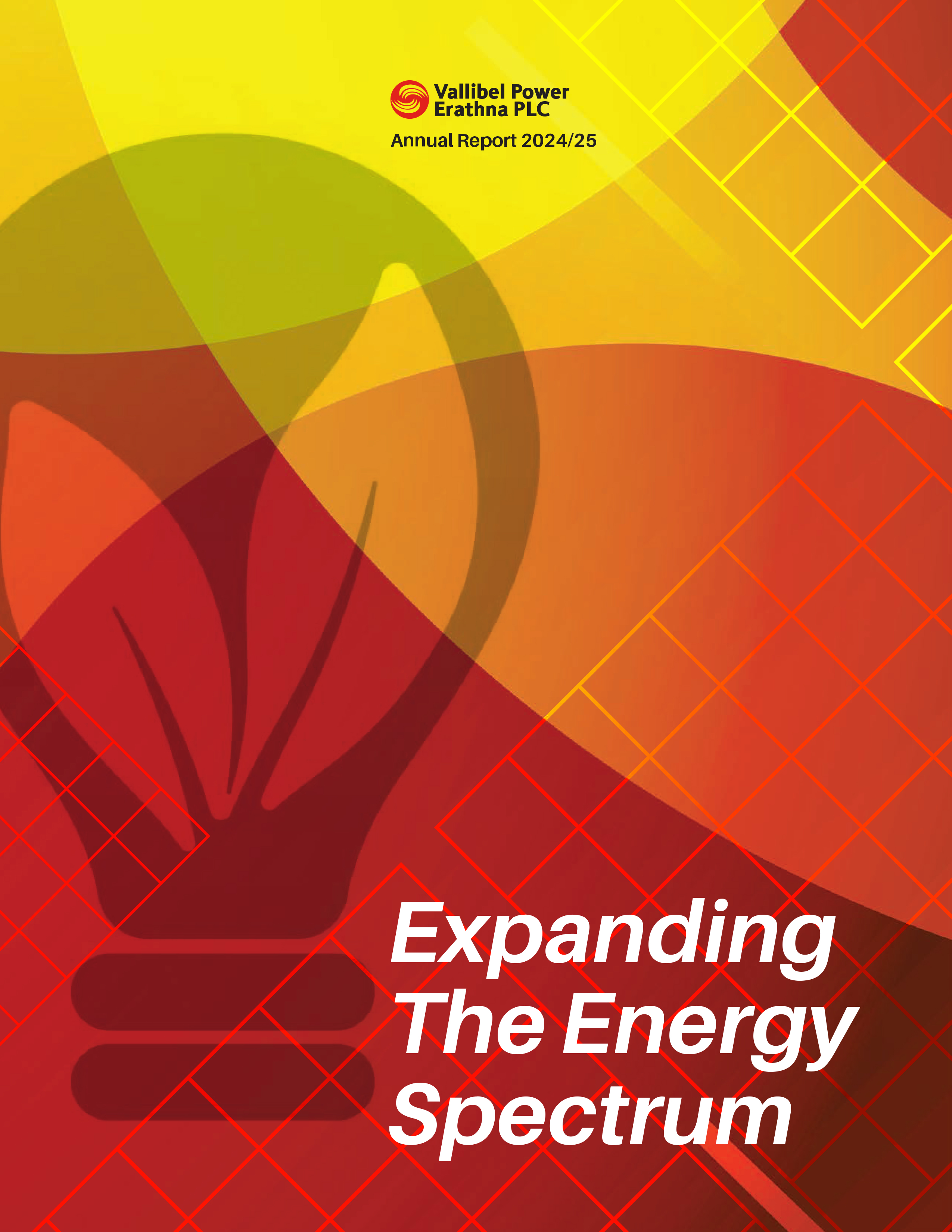 annual report 2025 1