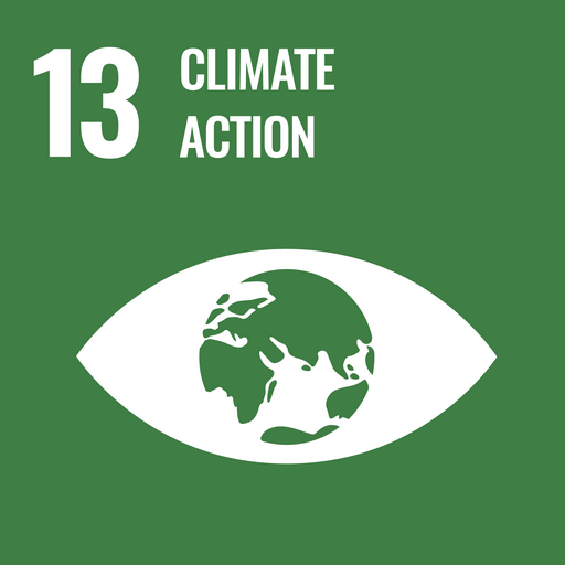 global goal 13