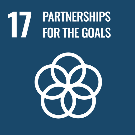 global goal 17